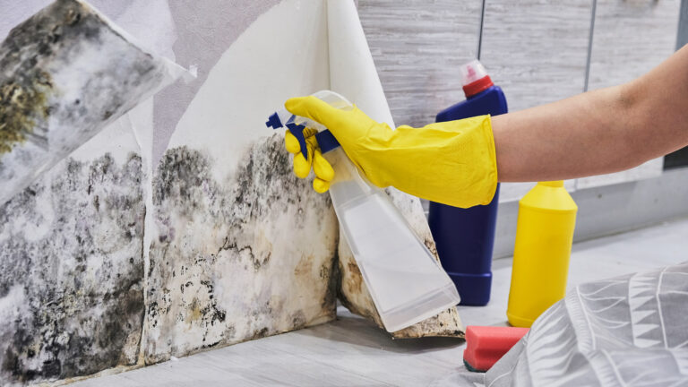 Housekeeper's,Hand,With,Glove,Cleaning,Mold,From,Wall,With,Sponge
